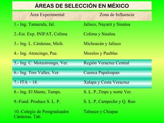 ÁREAS DE SELECCIÓN EN MÉXICO
Área Experimental Zona de Influencia
1.- Ing. Tamazula, Jal. Jalisco, Nayarit y Sinaloa
2.-Est. Exp. INIFAT, Colima Colima y Sinaloa
3.- Ing. L. Cárdenas, Mich. Michoacán y Jalisco
4.- Ing. Atencingo, Pue. Morelos y Pueblas
5.- Ing. C. Motzorrongo, Ver. Región Veracruz Central
6.- Ing. Tres Valles, Ver. Cuenca Papaloapan
7.- ITA – 18. Xalapa y Costa Veracruz
8.- Ing. El Mante, Tamps. S. L. P.,Tmps y norte Ver.
9.-Fund. Produce S. L. P. S. L. P, Campeche y Q. Roo
10.-Colegio de Postgraduados
Cárdenas, Tab.
Tabasco y Chiapas
 