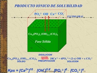 Ismael Yévenes López PRODUCTO IONICO DE SOLUBILIDAD Ca 10 (PO 4 ) 6  (OH) 2-X  (CO 3 ) X OH - Ca +2 PO 4 -3 CO 3 - Ca 10 (PO 4 ) 6  (OH) 2-X  (CO 3 ) X   10Ca +2  + 6PO 4 -3  + (2-x) OH -  + x CO 3 -2 DISOLUCION PRECIPITACION SÓLIDO SOLUCION Kps = [Ca 2+ ] 10   .   [OH - ] 2-X   .   [ PO 4 -3   ] 6  .   [ CO 3 -2  ] X Fase Sólida FLUIDO ORAL 