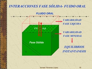 Ismael Yévenes López FLUIDO ORAL Fase Sólida F.D F.C VARIABILIDAD FASE MINERAL VARIABILIDAD FASE LIQUIDA EQUILIBRIOS INSTANTANEOS INTERACCIONES FASE SÓLIDA- FUIDO ORAL 