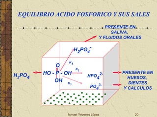 Ismael Yévenes López HO - P - OH O OH H 2 PO 4 - K 1 HPO 4 2- K 2 PO 4 3- K 3 PRESENTE EN HUESOS,  DIENTES Y CALCULOS PRESENTE EN SALIVA,  Y FLUIDOS ORALES H 3 PO 4 EQUILIBRIO ACIDO FOSFORICO Y SUS SALES 