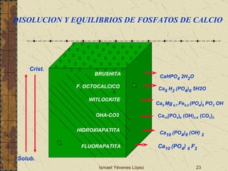 Ismael Yévenes López FLUORAPATITA Ca 10  (PO 4 )  6  F 2 HIDROXIAPATITA Ca 10  (PO 4 ) 6  (OH)  2 OHA-CO3 Ca 10 (PO 4 ) 6  (OH) 2-X  (CO 3 ) X WITLOCKITE Ca 9   Mg   0,7   Fe 0,5   (PO 4 ) 6   PO 3  OH F. OCTOCALCICO Ca 8  H 2  (PO 4 ) 6  5H2O BRUSHITA CaHPO 4  2H 2 O Solub. Crist. DISOLUCION Y EQUILIBRIOS DE FOSFATOS DE CALCIO 