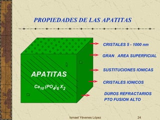 Ismael Yévenes López APATITAS GRAN  AREA SUPERFICIAL SUSTITUCIONES IONICAS CRISTALES IONICOS DUROS REFRACTARIOS PTO FUSION ALTO CRISTALES 5 - 1000 nm Ca 10  (PO 4 ) 6  X 2 PROPIEDADES DE LAS APATITAS 