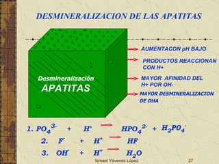 Ismael Yévenes López 1. PO 4 3-   +  H +  HPO 4 2-   + H 2 P0 4 - 2.  F -  +  H +  HF 3.  OH -   +  H +  H 2 O Desmineralización APATITAS AUMENTACON pH BAJO PRODUCTOS REACCIONAN CON H+ MAYOR  AFINIDAD DEL  H+ POR OH- MAYOR DESMINERALIZACION DE OHA DESMINERALIZACION DE LAS APATITAS 