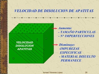 Ismael Yévenes López VELOCIDAD DISOLUCION APATITAS Aumenta: - TAMAÑO PARTICULAS - N° IMPERFECCIONES Disminuye: -IMPUREZAS  ESPECIFICAS - MATERIAL DISUELTO  PERMANECE VELOCIDAD DE DISOLUCION DE APATITAS 