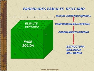 Ismael Yévenes López FASE SOLIDA ESMALTE DENTARIO MAYOR CONTENIDO MINERAL COMPOSICION   QCA ESPECIAL ORDENAMIENTO INTERNO ESTRUCTURA  BIOLOGICA MAS DENSA PROPIDADES ESMALTE  DENTARIO 
