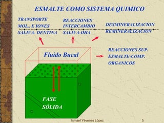 Ismael Yévenes López TRANSPORTE  MOL.. E IONES SALIVA- DENTINA REACCIONES INTERCAMBIO SALIVA-OHA DESMINERALIZACION REMINERALIZACION REACCIONES SUP. ESMALTE-COMP.  ORGANICOS ESMALTE COMO SISTEMA QUIMICO Fluido Bucal FASE SÓLIDA 