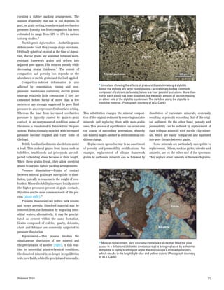 creating a tighter packing arrangement. The
amount of porosity that can be lost depends, in
part, on grain sorting, roundness and overburden
pressure. Porosity loss from compaction has been
estimated to range from 12% to 17% in various
outcrop studies.26
                                                                                                                          Pisoid
    Ductile grain deformation—As ductile grains
deform under load, they change shape or volume.
Originally spherical or ovoid at the time of deposi-
tion, ductile grains are squeezed between more-                                                       Stylolite
resistant framework grains and deform into
adjacent pore spaces. This reduces porosity while
decreasing stratal thickness.27 The extent of
compaction and porosity loss depends on the                            Peloidal packstone                                                 500 µm
abundance of ductile grains and the load applied.
    Compaction-induced deformation is also
                                                                   > Limestone showing the effects of pressure dissolution along a stylolite.
affected by cementation, timing and over­
                                                                   Above the stylolite are large round pisoids—accretionary bodies commonly
pressure. Sandstones containing ductile grains                     composed of calcium carbonate; below is a finer peloidal packstone. More than
undergo relatively little compaction if they are                   half of each pisoid has been dissolved, but the exact amount of section missing
cemented before burial of more than a few                          on either side of the stylolite is unknown. The dark line along the stylolite is
                                                                   insoluble material. (Photograph courtesy of W.J. Clark.)
meters or are strongly supported by pore fluid
pressure in an overpressured subsurface setting.
Whereas the load from increased overburden             This substitution changes the mineral composi-       dissolution of carbonate minerals, eventually
pressure is typically carried by grain-to-grain        tion of the original sediment by removing unstable   resulting in porosity exceeding that of the origi-
contact, in an overpressured condition some of         minerals and replacing them with more-stable         nal sediment. On the other hand, porosity and
the stress is transferred to fluids within the pore    ones. This process of equilibration can occur over   permeability can be reduced by replacement of
system. Fluids normally expelled with increased        the course of succeeding generations, whereby        rigid feldspar minerals with ductile clay miner-
pressure become trapped and carry some of              one mineral begets another as environmental con-     als, which are easily compacted and squeezed
the load.                                              ditions change.                                      into pore throats between grains.
    Brittle fossilized sediments also deform under         Replacement opens the way to an assortment           Some minerals are particularly susceptible to
a load. Thin skeletal grains from fauna such as        of porosity and permeability modifications. For      replacement. Others, such as pyrite, siderite and
trilobites, brachiopods and pelecypods are sub-        example, replacement of silicate framework           ankerite, are on the other end of the spectrum:
jected to bending stress because of their length.      grains by carbonate minerals can be followed by      They replace other cements or framework grains.
When these grains break, they allow overlying
grains to sag into tighter packing arrangements.
    Pressure dissolution—Points of contact
between mineral grains are susceptible to disso-
lution, typically in response to the weight of over-                        Dolomite
burden. Mineral solubility increases locally under
the higher pressures present at grain contacts.
Stylolites are the most common result of this pro-
cess (above right).28
    Pressure dissolution can reduce bulk volume
and hence porosity. Dissolved material may be                                                                                   Calcite
removed from the formation by migrating inter-
                                                                                                 Matt—Figure 06
stitial waters; alternatively, it may be precipi-
tated as cement within the same formation.
Grains composed of calcite, quartz, dolomite,
chert and feldspar are commonly subjected to                                                                        Anhydrite
pressure dissolution.
                                                                                  500 µm
    Replacement—This process involves the
simultaneous dissolution of one mineral and                        > Mineral replacement. Very coarsely crystalline calcite that filled the pore
the precipitation of another (right). In this reac-                space in a dolostone (dolomite crystals at top) is being replaced by anhydrite.
tion to interstitial physicochemical conditions,                   Anhydrite is highly birefringent under the microscope’s crossed polarizers,
the dissolved mineral is no longer in equilibrium                  which results in the bright light-blue and yellow colors. (Photograph courtesy
with pore fluids, while the precipitated mineral is.               of W.J. Clark.)




Summer 2010                                                                                                                                                21
 