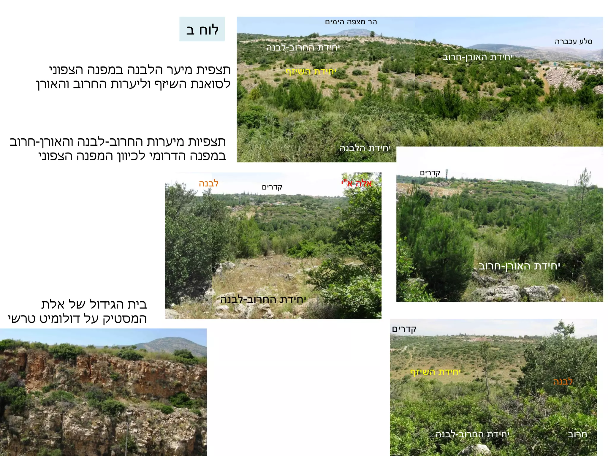 בית הגידול של אלת 
המסטיק על דולומיט טרשי 
יחידת הלבנה 
יחידת האורן-חרוב 
יחידת השיזף 
הר מצפה הימים 
סלע עכברה 
יחידת החרוב-לבנה 
יחידת החרוב-לבנה 
יחידת השיזף 
תצפית מיער הלבנה במפנה הצפוני 
לסואנת השיזף וליערות החרוב והאורן 
תצפיות מיערות החרוב-לבנה והאורן-חרוב 
במפנה הדרומי לכיוון המפנה הצפוני 
אלה א"י ק 
דרים ל 
בנה 
קדרים 
יחידת האורן-חרוב 
קדרים 
יחידת החרוב-לבנה 
לבנה 
חרוב 
לוח ב 
 