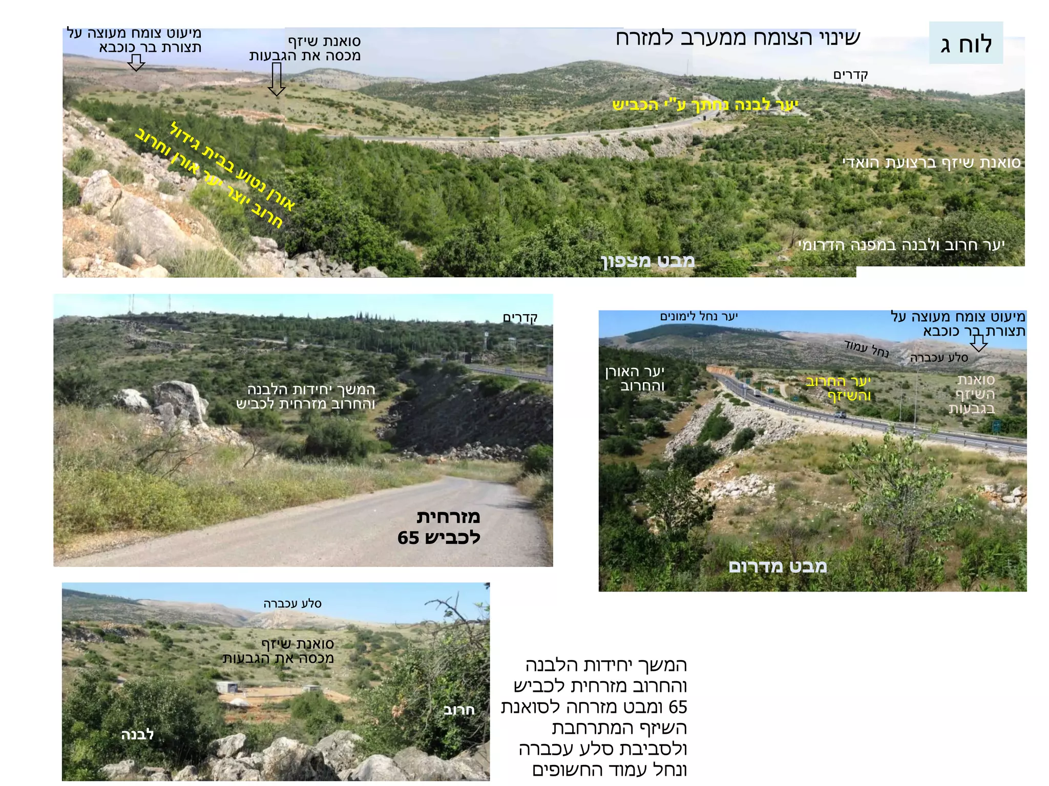 שינוי הצומח ממערב למזרח 
קדרים 
סואנת שיזף ברצועת הואדי 
ך " 
יער חרוב ולבנה במפנה הדרומי 
סואנת שיזף 
מכסה את הגבעות 
מיעוט צומח מעוצה על 
תצורת בר כוכבא 
מבט מצפון 
מבט מדרום 
יער האורן 
יער החרוב ו 
החרוב 
והשיזף 
סואנת 
השיזף 
בגבעות 
מיעוט צומח מעוצה על 
תצורת בר כוכבא 
מזרחית 
לכביש 65 
סלע עכברה 
יער נחל לימונים 
סלע עכברה 
סואנת שיזף 
מכסה את הגבעות 
המשך יחידות הלבנה 
והחרוב מזרחית לכביש 
קדרים 
המשך יחידות הלבנה 
והחרוב מזרחית לכביש 
65 ומבט מזרחה לסואנת 
השיזף המתרחבת 
ולסביבת סלע עכברה 
ונחל עמוד החשופים 
לוח ג 
 