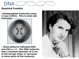 DNA
Rosalind Franklin
-photographed molecules using
x-rays (1953). This is what she
observed.
- these patterns indicated DNA
was like a coil. The DNA molecule
had a constant diameter of 2 nm.
It did not get wider or narrower
in some parts of the molecule.
 