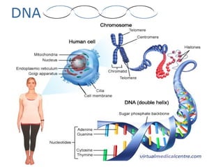 DNA
 