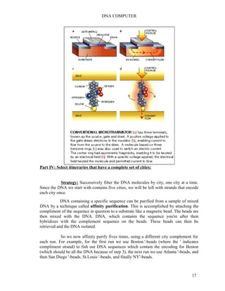 DNA COMPUTER 
Part IV: Select itineraries that have a complete set of cities: 
Strategy: Successively filter the DNA molecules by city, one city at a time. 
Since the DNA we start with contains five cities, we will be left with strands that encode 
each city once. 
DNA containing a specific sequence can be purified from a sample of mixed 
DNA by a technique called affinity purification. This is accomplished by attaching the 
compliment of the sequence in question to a substrate like a magnetic bead. The beads are 
then mixed with the DNA. DNA, which contains the sequence you're after then 
hybridizes with the complement sequence on the beads. These beads can then be 
retrieved and the DNA isolated. 
So we now affinity purify fives times, using a different city complement for 
each run. For example, for the first run we use Boston.'-beads (where the ' indicates 
compliment strand) to fish out DNA sequences which contain the encoding for Boston 
(which should be all the DNA because of step 3), the next run we use Atlanta '-beads, and 
then San Diego '-beads, St.Louis '-beads, and finally NY'-beads. 
17 
 