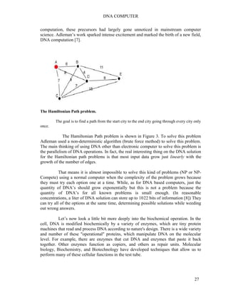DNA COMPUTER 
computation, these precursors had largely gone unnoticed in mainstream computer 
science. Adleman’s work sparked intense excitement and marked the birth of a new field, 
DNA computation [7]. 
The Hamiltonian Path problem. 
The goal is to find a path from the start city to the end city going through every city only 
once. 
The Hamiltonian Path problem is shown in Figure 3. To solve this problem 
Adleman used a non-deterministic algorithm (brute force method) to solve this problem. 
The main thinking of using DNA other than electronic computer to solve this problem is 
the parallelism of DNA operations. In fact, the real interesting thing on the DNA solution 
for the Hamiltonian path problems is that most input data grow just linearly with the 
growth of the number of edges. 
That means it is almost impossible to solve this kind of problems (NP or NP-Compete) 
using a normal computer when the complexity of the problem grows because 
they must try each option one at a time. While, as for DNA based computers, just the 
quantity of DNA’s should grow exponentially but this is not a problem because the 
quantity of DNA’s for all known problems is small enough. (In reasonable 
concentrations, a liter of DNA solution can store up to 1022 bits of information [8]) They 
can try all of the options at the same time, determining possible solutions while weeding 
out wrong answers. 
Let’s now look a little bit more deeply into the biochemical operation. In the 
cell, DNA is modified biochemically by a variety of enzymes, which are tiny protein 
machines that read and process DNA according to nature's design. There is a wide variety 
and number of these "operational" proteins, which manipulate DNA on the molecular 
level. For example, there are enzymes that cut DNA and enzymes that paste it back 
together. Other enzymes function as copiers, and others as repair units. Molecular 
biology, Biochemistry, and Biotechnology have developed techniques that allow us to 
perform many of these cellular functions in the test tube. 
27 
 