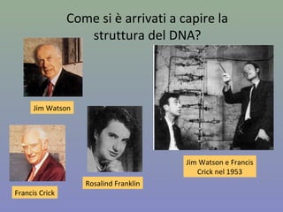 Come si è arrivati a capire la
struttura del DNA?
Jim Watson
Francis Crick
Rosalind Franklin
Jim Watson e Francis
Crick nel 1953
 