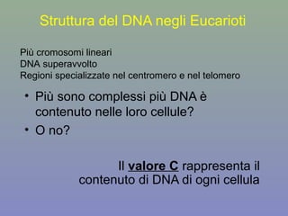 Struttura del DNA negli Eucarioti
• Più sono complessi più DNA è
contenuto nelle loro cellule?
• O no?
Il valore C rappresenta il
contenuto di DNA di ogni cellula
Più cromosomi lineari
DNA superavvolto
Regioni specializzate nel centromero e nel telomero
 