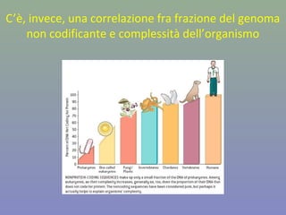 C’è, invece, una correlazione fra frazione del genoma
non codificante e complessità dell’organismo
 