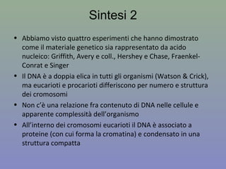 Sintesi 2
• Abbiamo visto quattro esperimenti che hanno dimostrato
come il materiale genetico sia rappresentato da acido
nucleico: Griffith, Avery e coll., Hershey e Chase, Fraenkel-
Conrat e Singer
• Il DNA è a doppia elica in tutti gli organismi (Watson & Crick),
ma eucarioti e procarioti differiscono per numero e struttura
dei cromosomi
• Non c’è una relazione fra contenuto di DNA nelle cellule e
apparente complessità dell’organismo
• All’interno dei cromosomi eucarioti il DNA è associato a
proteine (con cui forma la cromatina) e condensato in una
struttura compatta
 