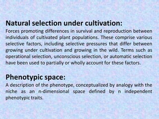 Natural selection under cultivation:
Forces promoting differences in survival and reproduction between
individuals of cultivated plant populations. These comprise various
selective factors, including selective pressures that differ between
growing under cultivation and growing in the wild. Terms such as
operational selection, unconscious selection, or automatic selection
have been used to partially or wholly account for these factors.
Phenotypic space:
A description of the phenotype, conceptualized by analogy with the
niche as an n-dimensional space defined by n independent
phenotypic traits.
 