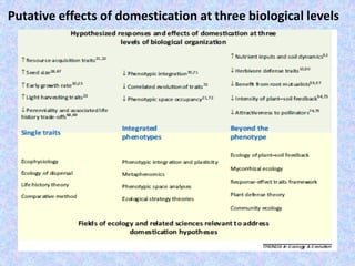 Putative effects of domestication at three biological levels
 