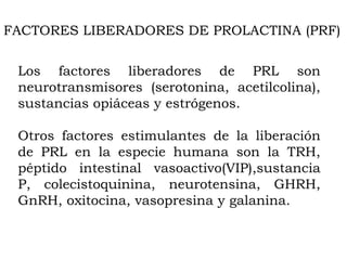 FACTORES LIBERADORES DE PROLACTINA (PRF)


 Los factores liberadores de PRL son
 neurotransmisores (serotonina, acetilcolina),
 sustancias opiáceas y estrógenos.

 Otros factores estimulantes de la liberación
 de PRL en la especie humana son la TRH,
 péptido intestinal vasoactivo(VIP),sustancia
 P, colecistoquinina, neurotensina, GHRH,
 GnRH, oxitocina, vasopresina y galanina.
 