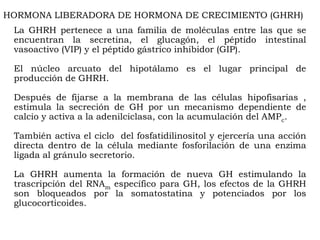 HORMONA LIBERADORA DE HORMONA DE CRECIMIENTO (GHRH)
 La GHRH pertenece a una familia de moléculas entre las que se
 encuentran la secretina, el glucagón, el péptido intestinal
 vasoactivo (VIP) y el péptido gástrico inhibidor (GIP).

 El núcleo arcuato del hipotálamo es el lugar principal de
 producción de GHRH.

 Después de fijarse a la membrana de las células hipofisarias ,
 estimula la secreción de GH por un mecanismo dependiente de
 calcio y activa a la adenilciclasa, con la acumulación del AMPc.

 También activa el ciclo del fosfatidilinositol y ejercería una acción
 directa dentro de la célula mediante fosforilación de una enzima
 ligada al gránulo secretorio.

 La GHRH aumenta la formación de nueva GH estimulando la
 trascripción del RNAm específico para GH, los efectos de la GHRH
 son bloqueados por la somatostatina y potenciados por los
 glucocorticoides.
 