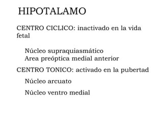 HIPOTALAMO
CENTRO CICLICO: inactivado en la vida
fetal

  Núcleo supraquiasmático
  Area preóptica medial anterior
CENTRO TONICO: activado en la pubertad
  Núcleo arcuato
  Núcleo ventro medial
 