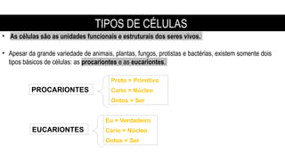 • As células são as unidades funcionais e estruturais dos seres vivos.
• Apesar da grande variedade de animais, plantas, fungos, protistas e bactérias, existem somente dois
tipos básicos de células: as procariontes e as eucariontes.
PROCARIONTES
EUCARIONTES
Proto = Primitivo
Cario = Núcleo
Ontos = Ser
Eu = Verdadeiro
Cario = Núcleo
Ontos = Ser
TIPOS DE CÉLULAS
 