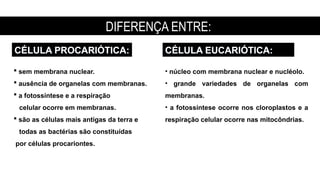 CÉLULA PROCARIÓTICA:
 sem membrana nuclear.
 ausência de organelas com membranas.
 a fotossíntese e a respiração
celular ocorre em membranas.
 são as células mais antigas da terra e
todas as bactérias são constituídas
por células procariontes.
CÉLULA EUCARIÓTICA:
• núcleo com membrana nuclear e nucléolo.
• grande variedades de organelas com
membranas.
• a fotossíntese ocorre nos cloroplastos e a
respiração celular ocorre nas mitocôndrias.
DIFERENÇA ENTRE:
 