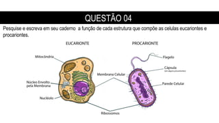 QUESTÃO 04
Pesquise e escreva em seu caderno a função de cada estrutura que compõe as celulas eucariontes e
procariontes.
 