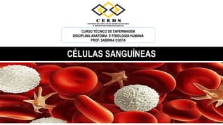 CÉLULAS SANGUÍNEAS
CURSO TÉCNICO DE ENFERMAGEM
DISCIPLINA:ANATOMIA E FISIOLOGIA HUMANA
PROF. SABRINA COSTA
 
