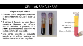 Sangue: Noções Básicas
O volume total de sangue em um homem
de aproximadamente 70 Kg é de cerca 5,5
litros.
O sangue é formado por duas fases:
elementos figurados (os glóbulos
brancos, vermelhos e plaquetas) e o
plasma que corresponde à fase líquida na
qual os primeiros em suspensão.
Este, sendo removido da circulação
coagula, e, do coágulo separa-se um
líquido amarelo-claro: o soro sanguíneo.
CÉLULAS SANGUÍNEAS
 