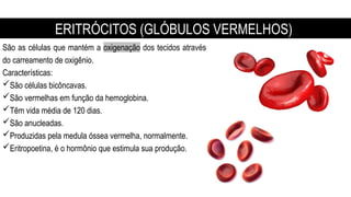 São as células que mantém a oxigenação dos tecidos através
do carreamento de oxigênio.
Características:
São células bicôncavas.
São vermelhas em função da hemoglobina.
Têm vida média de 120 dias.
São anucleadas.
Produzidas pela medula óssea vermelha, normalmente.
Eritropoetina, é o hormônio que estimula sua produção.
ERITRÓCITOS (GLÓBULOS VERMELHOS)
 