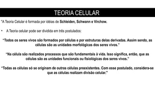 TEORIA CELULAR
"A Teoria Celular é formada por idéias de Schleiden, Schwann e Virchow.
• A Teoria celular pode ser dividida em três postulados:
“Todos os seres vivos são formados por células e por estruturas delas derivadas. Assim sendo, as
células são as unidades morfológicas dos seres vivos.”
“Na célula são realizados processos que são fundamentais à vida. Isso significa, então, que as
células são as unidades funcionais ou fisiológicas dos seres vivos.”
“Todas as células só se originam de outras células preexistentes. Com esse postulado, considera-se
que as células realizam divisão celular."
 