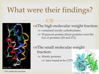 
The high molecular weight fraction:
 contained mostly carbohydrates
 10 percent protein (these proteins were the
two Z-proteins (Z4 and Z7))
The small molecular weight
fraction:
 Mostly proteins
 later found to be LTP1
What were their findings?
LTP1 molecular structure
Bech, 1995
Z- protein. EMBL 2015
 
