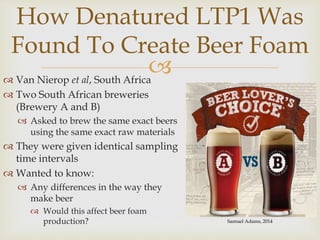  Van Nierop et al, South Africa
 Two South African breweries
(Brewery A and B)
 Asked to brew the same exact beers
using the same exact raw materials
 They were given identical sampling
time intervals
 Wanted to know:
 Any differences in the way they
make beer
 Would this affect beer foam
production?
How Denatured LTP1 Was
Found To Create Beer Foam
Samuel Adams, 2014
 