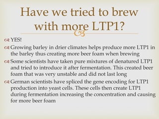  YES!
 Growing barley in drier climates helps produce more LTP1 in
the barley thus creating more beer foam when brewing
 Some scientists have taken pure mixtures of denatured LTP1
and tried to introduce it after fermentation. This created beer
foam that was very unstable and did not last long
 German scientists have spliced the gene encoding for LTP1
production into yeast cells. These cells then create LTP1
during fermentation increasing the concentration and causing
for more beer foam
Have we tried to brew
with more LTP1?
 