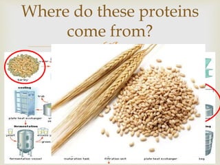 
Where do these proteins
come from?
 