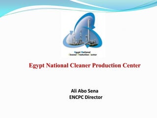 Egypt National Cleaner Production Center
Ali Abo Sena
ENCPC Director
 
