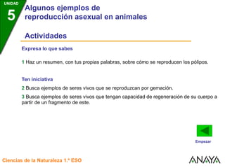 UNIDAD
3
Algunos ejemplos de
reproducción asexual en animales
Ciencias de la Naturaleza 1.º ESO
UNIDAD
5
Expresa lo que sabes
1 Haz un resumen, con tus propias palabras, sobre cómo se reproducen los pólipos.
Ten iniciativa
2 Busca ejemplos de seres vivos que se reproduzcan por gemación.
3 Busca ejemplos de seres vivos que tengan capacidad de regeneración de su cuerpo a
partir de un fragmento de este.
Actividades
Empezar
 