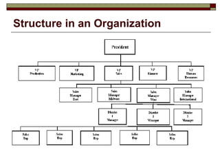 Structure in an Organization 