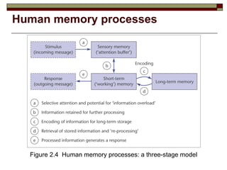 Human memory processes Figure 2.4  Human memory processes: a three-stage model 