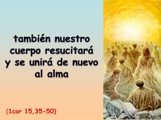 (1cor 15,35-50)
 