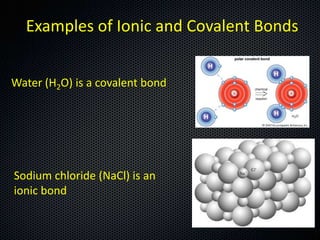 Examples of Ionic and Covalent Bonds
Water (H2O) is a covalent bond

Sodium chloride (NaCl) is an
ionic bond

 