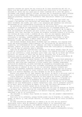 aparente rescate por parte de una vicaria de la gran sacerdotisa del Sol no
había sido más que parte de aquella parodia que constituía su rito pagano: al
derramar el astro rey sus rayos por el hueco cuadrado de lo alto del patio,
reclamaba como propia aquella víctima, de modo que la sacerdotisa había acudido
de las interioridades del templo para arrancarla de las manos impuras de
aquellos profanos, salvarlo y ofrendarlo como sacrificio humano a la flamígera
deidad.
Y si necesitaba confirmación a su hipótesis, no tenía más que echar una
ojeada a las manchas rojo parduscas que salpicaban la piedra del altar y del
suelo alrededor del mismo, así como a las calaveras que exhibían sus sonrisas
descarnadas en las innumerables hornacinas de los altos muros.
La sacerdotisa llevó a la víctima hasta la escalinata del altar. Las galerías
volvieron a colmarse de espectadores, mientras por la arqueada puerta del
extremo oriental de la nave empezó a discurrir hacia el interior de la amplia
nave una procesión de mujeres que poco a poco la fue llenando. Al igual que los
hombres, sólo iban vestidas con pieles de animales salvajes sujetas a la cintura
con correas de cuero crudo o cadenas de oro. Pero en sus espesas cabelleras
negras se incrustaba un tocado compuesto por innumerables piezas de oro,
circulares y ovaladas, ingeniosamente unidas entre sí para formar un gorro
metálico del que colgaban, a ambos lados de la cabeza, largas cadenas de
eslabones ovales que descendían hasta la cintura.
Las mujeres estaban mucho mejor formadas que los hombres, sus figuras eran
mucho más proporcionadas simétricamente, sus facciones de una perfección muy
sugestiva, la configuración de sus cabezas, así como la hermosura de sus ojos
grandes, negros, de mirada suave, denotaban mucha más inteligencia y humanidad
que los de sus, al parecer, amos y señores.
Cada una de aquellas sacerdotisas llevaba en las manos sendas copas de oro y,
cuando se colocaron en fila a un lado del altar, los hombres hicieron lo propio
en el ala contraria y luego avanzaron para coger una copa de la mujer que tenían
enfrente. Se reanudó el canto una vez más y, entonces, por la boca de un
tenebroso pasillo situado al fondo del altar emergió otra mujer, procedente de
las cavernosas profundidades del subsuelo de la cámara.
«La suma sacerdotisa», pensó Tarzán. Era una joven de rostro bien parecido y
expresión inteligente. Sus adornos guardaban bastante semejanza con los de sus
vestales, pero eran más complejos y ricos, puesto que llevaban engarzados
profusión de diamantes. La gran cantidad de ornamentos enjoyados que lucía en
los desnudos brazos y piernas casi ocultaban totalmente sus extremidades,
mientras que un ceñidor de aros de oro con extraños dibujos formados por
infinidad de pequeños diamantes sostenía la piel de leopardo que era su único
vestido. Al cinto llevaba un largo cuchillo con el mango también engastado en
joyas y su diestra empuñaba una vara delgada en vez de un garrote.
Avanzó unos pasos por el lado opuesto del altar, se detuvo y entonces cesó el
cántico. Sacerdotes y sacerdotisas se arrodillaron ante ella y así permanecieron mientras la mujer, extendida la vara sobre sus fieles, recitaba una
oración monótona e inacabable. Tenía una voz suave y musical... A Tarzán le
costaba trabajo creer que la poseedora de aquella voz pudiera transformarse
momentos después, mediante un fanático éxtasis de celo religioso, en un verdugo
femenino de ojos demenciales y fervor sanguinario que, con el goteante cuchillo
en la mano, sería la primera en beber, en la copa que ahora descansaba en el
altar, la roja y caliente sangre de la víctima del sacrificio.
Al concluir su oración, la sacerdotisa dejó que sus ojos se posaran en Tarzán
por primera vez. Dando muestras de considerable curiosidad, lo examinó de pies a
cabeza. Luego le dirigió la palabra y se mantuvo erguida, expectante, como si
aguardase a que él la contestara.
-No entiendo tu lengua -dijo Tarzán al final-. Tal vez podamos comprendernos
en otro idioma.
Pero ella no le entendió, aunque Tarzán probó con el francés, el inglés, el
árabe, el waziri y, como último recurso, la lingua franca de la costa occidental
de África.
La suma sacerdotisa denegó con la cabeza y en su tono de voz pareció
apreciarse cierto deje de cansancio cuando indicó a los sacerdotes que
continuaran con la ceremonia. Los hombres formaron de nuevo un círculo para
repetir aquella danza estúpida, a la que puso término una orden de la
sacerdotisa, quien, durante todo el tiempo que duró aquella coreografía ritual,

 