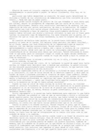 Efectuó de nuevo el circuito completo de la habitación, palpando
cuidadosamente la pared palmo a palmo. Se detuvo finalmente, otra vez, en la
sección
particular que había despertado su atención. En aquel punto determinado se
filtraba a través de los intersticios de mampostería una fina corriente de aire
fresco... Nada más que en aquel punto.
Tarzán probó varios bloques de granito de los que formaban el muro hasta que,
por último, obtuvo la recompensa de comprobar que uno salía de su sitio sin
grandes dificultades. Tendría unos veinticinco centímetros de anchura, con una
superficie de ocho por quince centímetros, de cara a la habitación. El hombremono retiró una tras otra varias piezas similares. Al parecer, el muro estaba
levantado totalmente a base de aquellas losas prácticamente perfectas. En un
momento había retirado una docena y entonces introdujo la mano por el hueco para
tantear la siguiente capa de mampostería. Con gran sorpresa por su parte, se
encontró con que al final del brazo extendido, su mano no tropezó más que con el
vacío.
En cuestión de minutos hubo abierto en la pared hueco suficiente para
permitir el paso de su cuerpo. Por delante creyó percibir una débil claridad...
en el fondo, apenas una leve disminución de la impenetrabilidad de aquella
negrura. Con las debidas precauciones, Tarzán avanzó a gatas hasta
aproximadamente a cuatro metros y medio, más o menos la anchura de los cimientos
de aquellos muros, donde notó que el suelo se interrumpía súbitamente, para
transformarse en un descenso poco menos que vertical. Tanteó estirando el brazo
todo lo que pudo, pero no consiguió llegar al fondo de aquel abismo tenebroso
que se abría ante él. Ni siquiera cuando se colgó del borde y bajó el cuerpo en
toda su estatura.
Se le ocurrió alzar la mirada y entonces vio en lo alto, a través de una
abertura redonda, la mancha
circular y estrellada del cielo. Al ir tanteando la pared de aquel pozo hacia
arriba, el hombre mono descubrió que, a medida que ascendía, la pared circular
se iba cerrando paulatinamente para converger en el centro. Lo que excluía toda
posibilidad de escapatoria en esa dirección.
Mientras especulaba acerca de la naturaleza y utilidad de aquel extraño paso
y su conclusión, la luna se situó encima de la abertura superior y dejó caer un
raudal de suave y plateada claridad al interior de aquel lugar sombrío. Tarzán
comprendió entonces instantáneamente la naturaleza del pozo, porque distinguió
abajo, a bastante profundidad, el cabrilleo del agua. Se encontraba en un
antiguo pozo artesiano... ¿pero qué finalidad tenía aquella conexión entre el
pozo y la mazmorra en la que él había estado escondido?
Cuando la luna se situó de lleno encima de la boca del pozo, su claridad
inundó el interior totalmente y Tarzán divisó otra abertura en la pared opuesta.
Se preguntó si no se trataría de la boca de un pasaje que condujese a alguna
posible vía de escape. Al menos, merecía la pena investigarlo, de modo que
determinó hacerlo así.
Volvió rápidamente a la pared que había desmontado para explorar lo que había
detrás. Trasladó las piedras al lado en que se encontraba y volvió a colocarlas
desde aquella parte. Las gruesas capas de polvo, que había notado se acumulaban
en los bloques que retiró de la pared, le convencieron de que, aunque los
actuales ocupantes de la antigua mole conocieran la existencia de aquel
pasadizo, lo cierto era que hacía varias generaciones que no se utilizaba.
Vuelta la pared a su estado anterior, Tarzán regresó al pozo, que en aquel
punto tenía unos cuatro metros y medio de anchura. Cruzar de un salto el espacio
que le separaba de la otra boca fue cuestión de escaso fuste para el hombre mono
y un momento después avanzaba por un túnel angosto, con toda la cautela del
mundo, no fuera caso de que se interpusiese en su camino otro pozo como el que
acababa de dejar a su espalda.
Habría recorrido unos treinta metros cuando llegó a un tramo de escalera que
descendía hacia una negrura estigia. Cosa de veinte peldaños más abajo,
comenzaba de nuevo el piso nivelado del túnel y, poco después, su avance se vio
interrumpido por una pesada puerta de madera con gruesos barrotes, también de
madera, que la trababan en la parte por la que Tarzán se dirigía a ella. Lo cual
sugirió al hombremono que seguramente se trataba de un pasaje que conducía al
mundo exterior. Los cerrojos, que impedían el paso desde el otro lado,
sustentaban esa hipótesis, a no ser que aquélla diera paso a otra cárcel.

 