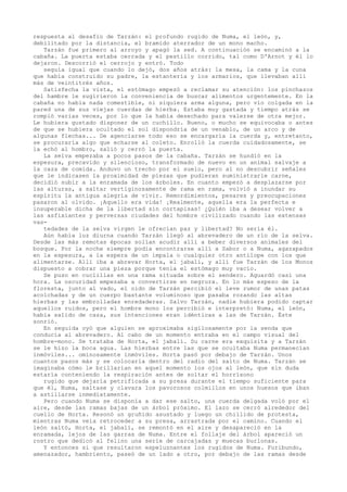 respuesta al desafío de Tarzán: el profundo rugido de Numa, el león, y,
debilitado por la distancia, el bramido aterrador de un mono macho.
Tarzán fue primero al arroyo y apagó la sed. A continuación se encaminó a la
cabaña. La puerta estaba cerrada y el pestillo corrido, tal como D'Arnot y él lo
dejaron. Descorrió el cerrojo y entró. Todo
seguía igual que cuando lo dejó, dos años atrás: la mesa, la cama y la cuna
que había construido su padre, la estantería y los armarios, que llevaban allí
más de veintitrés años.
Satisfecha la vista, el estómago empezó a reclamar su atención: los pinchazos
del hambre le sugirieron la conveniencia de buscar alimentos urgentemente. En la
cabaña no había nada comestible, ni siquiera arma alguna, pero vio colgada en la
pared una de sus viejas cuerdas de hierba. Estaba muy gastada y tiempo atrás se
rompió varias veces, por lo que la había desechado para valerse de otra mejor.
Le hubiera gustado disponer de un cuchillo. Bueno, o mucho se equivocaba o antes
de que se hubiera ocultado el sol dispondría de un venablo, de un arco y de
algunas flechas... De agenciarse todo eso se encargaría la cuerda y, entretanto,
se procuraría algo que echarse al coleto. Enrolló la cuerda cuidadosamente, se
la echó al hombro, salió y cerró la puerta.
La selva empezaba a pocos pasos de la cabaña. Tarzán se hundió en la
espesura, precavido y silencioso, transformado de nuevo en un animal salvaje a
la caza de comida. Anduvo un trecho por el suelo, pero al no descubrir señales
que le indicasen la proximidad de piezas que pudieran suministrarle carne,
decidió subir a la enramada de los árboles. En cuanto empezó a desplazarse por
las alturas, a saltar vertiginosamente de rama en rama, volvió a inundar su
espíritu la antigua alegría de vivir. Remordimientos, pesares y preocupaciones
pasaron al olvido. ¡Aquello era vida! ¡Realmente, aquella era la perfecta e
insuperable dicha de la libertad sin cortapisas! ¿Quién iba a desear volver a
las asfixiantes y perversas ciudades del hombre civilizado cuando las extensas
vastedades de la selva virgen le ofrecían paz y libertad? No sería él.
Aún había luz diurna cuando Tarzán llegó al abrevadero de un río de la selva.
Desde las más remotas épocas solían acudir allí a beber diversos animales del
bosque. Por la noche siempre podía encontrarse allí a Sabor o a Numa, agazapados
en la espesura, a la espera de un impala o cualquier otro antílope con los que
alimentarse. Allí iba a abrevar Horta, el jabalí, y allí fue Tarzán de los Monos
dispuesto a cobrar una pieza porque tenía el estómago muy vacío.
Se puso en cuclillas en una rama situada sobre el sendero. Aguardó casi una
hora. La oscuridad empezaba a convertirse en negrura. En lo más espeso de la
floresta, junto al vado, el oído de Tarzán percibió el leve rumor de unas patas
acolchadas y de un cuerpo bastante voluminoso que pasaba rozando las altas
hierbas y las embrolladas enredaderas. Salvo Tarzán, nadie hubiera podido captar
aquellos ruidos, pero el hombre mono los percibió e interpretó: Numa, el león,
había salido de caza, sus intenciones eran idénticas a las de Tarzán. Éste
sonrió.
En seguida oyó que alguien se aproximaba sigilosamente por la senda que
conducía al abrevadero. Al cabo de un momento entraba en el campo visual del
hombre-mono. Se trataba de Horta, el jabalí. Su carne era exquisita y a Tarzán
se le hizo la boca agua. Las hierbas entre las que se ocultaba Numa permanecían
inmóviles... ominosamente inmóviles. Horta pasó por debajo de Tarzán. Unos
cuantos pasos más y se colocaría dentro del radio del salto de Numa. Tarzán se
imaginaba cómo le brillarían en aquel momento los ojos al león, que sin duda
estaría conteniendo la respiración antes de soltar el horrísono
rugido que dejaría petrificada a su presa durante el tiempo suficiente para
que él, Numa, saltase y clavara los pavorosos colmillos en unos huesos que iban
a astillarse inmediatamente.
Pero cuando Numa se disponía a dar ese salto, una cuerda delgada voló por el
aire, desde las ramas bajas de un árbol próximo. El lazo se cerró alrededor del
cuello de Horta. Resonó un gruñido asustado y luego un chillido de protesta,
mientras Numa veía retroceder a su presa, arrastrada por el camino. Cuando el
león saltó, Horta, el jabalí, se remontó en el aire y desapareció en la
enramada, lejos de las garras de Numa. Entre el follaje del árbol apareció un
rostro que dedicó al felino una serie de carcajadas y muecas burlonas.
Y entonces sí que resultaron espeluznantes los rugidos de Numa. Furibundo,
amenazador, hambriento, paseó de un lado a otro, por debajo de las ramas desde

 