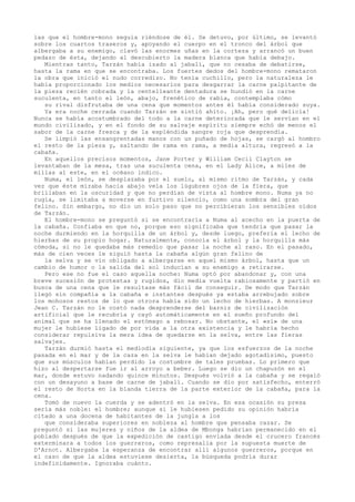 las que el hombre-mono seguía riéndose de él. Se detuvo, por último, se levantó
sobre los cuartos traseros y, apoyando el cuerpo en el tronco del árbol que
albergaba a su enemigo, clavó las enormes uñas en la corteza y arrancó un buen
pedazo de ésta, dejando al descubierto la madera blanca que había debajo.
Mientras tanto, Tarzán había izado al jabalí, que no cesaba de debatirse,
hasta la rama en que se encontraba. Los fuertes dedos del hombre-mono remataron
la obra que inició el nudo corredizo. No tenía cuchillo, pero la naturaleza le
había proporcionado los medios necesarios para desgarrar la carne palpitante de
la pieza recién cobrada y la centelleante dentadura se hundió en la carne
suculenta, en tanto el león, abajo, frenético de rabia, contemplaba cómo
su rival disfrutaba de una cena que momentos antes él había considerado suya.
Ya era noche cerrada cuando Tarzán se sintió ahíto. ¡Ah, pero qué delicia!
Nunca se había acostumbrado del todo a la carne deteriorada que le servían en el
mundo civilizado, y en el fondo de su salvaje espíritu siempre echó de menos el
sabor de la carne fresca y de la espléndida sangre roja que desprendía.
Se limpió las ensangrentadas manos con un puñado de hojas, se cargó al hombro
el resto de la pieza y, saltando de rama en rama, a media altura, regresó a la
cabaña.
En aquellos precisos momentos, Jane Porter y William Cecil Clayton se
levantaban de la mesa, tras una suculenta cena, en el Lady Alice, a miles de
millas al este, en el océano indico.
Numa, el león, se desplazaba por el suelo, al mismo ritmo de Tarzán, y cada
vez que éste miraba hacia abajo veía los lúgubres ojos de la fiera, que
brillaban en la oscuridad y que no perdían de vista al hombre mono. Numa ya no
rugía, se limitaba a moverse en furtivo silencio, como una sombra del gran
felino. Sin embargo, no dio un solo paso que no percibieran los sensibles oídos
de Tarzán.
El hombre-mono se preguntó si se encontraría a Numa al acecho en la puerta de
la cabaña. Confiaba en que no, porque eso significaba que tendría que pasar la
noche durmiendo en la horquilla de un árbol y, desde luego, prefería el lecho de
hierbas de su propio hogar. Naturalmente, conocía el árbol y la horquilla más
cómoda, si no le quedaba más remedio que pasar la noche al raso. En el pasado,
más de cien veces le siguió hasta la cabaña algún gran felino de
la selva y se vio obligado a albergarse en aquel mismo árbol, hasta que un
cambio de humor o la salida del sol inducían a su enemigo a retirarse.
Pero ese no fue el caso aquella noche: Numa optó por abandonar y, con una
breve sucesión de protestas y rugidos, dio media vuelta rabiosamente y partió en
busca de una cena que le resultase más fácil de conseguir. De modo que Tarzán
llegó sin compañía a la cabaña e instantes después ya estaba arrebujado sobre
los mohosos restos de lo que otrora había sido un lecho de hierbas. A monsieur
Jean C. Tarzán no le costó nada desprenderse del barniz de civilización
artificial que le recubría y cayó automáticamente en el sueño profundo del
animal que se ha llenado el estómago a rebosar. No obstante, el «sí» de una
mujer le hubiese ligado de por vida a la otra existencia y le habría hecho
considerar repulsiva la mera idea de quedarse en la selva, entre las fieras
salvajes.
Tarzán durmió hasta el mediodía siguiente, ya que los esfuerzos de la noche
pasada en el mar y de la caza en la selva le habían dejado agotadísimo, puesto
que sus músculos habían perdido la costumbre de tales pruebas. Lo primero que
hizo al despertarse fue ir al arroyo a beber. Luego se dio un chapuzón en el
mar, donde estuvo nadando quince minutos. Después volvió a la cabaña y se regaló
con un desayuno a base de carne de jabalí. Cuando se dio por satisfecho, enterró
el resto de Horta en la blanda tierra de la parte exterior de la cabaña, para la
cena.
Tomó de nuevo la cuerda y se adentró en la selva. En esa ocasión su presa
sería más noble: el hombre; aunque si le hubiesen pedido su opinión habría
citado a una docena de habitantes de la jungla a los
que consideraba superiores en nobleza al hombre que pensaba cazar. Se
preguntó si las mujeres y niños de la aldea de Mbonga habrían permanecido en el
poblado después de que la expedición de castigo enviada desde el crucero francés
exterminara a todos los guerreros, como represalia por la supuesta muerte de
D'Arnot. Albergaba la esperanza de encontrar allí algunos guerreros, porque en
el caso de que la aldea estuviese desierta, la búsqueda podría durar
indefinidamente. Ignoraba cuánto.

 