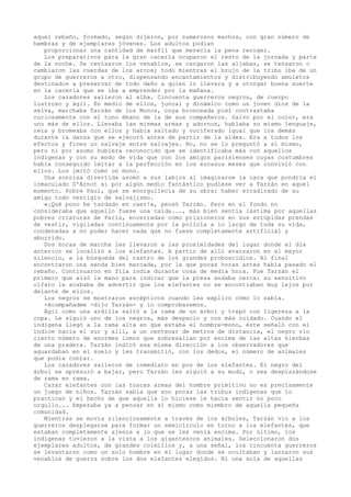 aquel rebaño, formado, según dijeron, por numerosos machos, con gran número de
hembras y de ejemplares jóvenes. Los adultos podían
proporcionar una cantidad de marfil que merecía la pena recoger.
Los preparativos para la gran cacería ocuparon el resto de la jornada y parte
de la noche. Se revisaron los venablos, se cargaron las aljabas, se tensaron o
cambiaron las cuerdas de los arcos; todo mientras el brujo de la tribu iba de un
grupo de guerreros a otro, dispensando encantamientos y distribuyendo amuletos
destinados a preservar de todo daño a quien lo llevara y a otorgar buena suerte
en la cacería que se iba a emprender por la mañana.
Los cazadores salieron al alba. Cincuenta guerreros negros, de cuerpo
lustroso y ágil. En medio de ellos, juncal y dinámico como un joven dios de la
selva, marchaba Tarzán de los Monos, cuya bronceada piel contrastaba
curiosamente con el tono ébano de la de sus compañeros. Salvo por el color, era
uno más de ellos. Llevaba las mismas armas y adornos, hablaba su mismo lenguaje,
reía y bromeaba con ellos y había saltado y vociferado igual que los demás
durante la danza que se ejecutó antes de partir de la aldea. Era a todos los
efectos y fines un salvaje entre salvajes. No, no se lo preguntó a sí mismo,
pero ni por asomo hubiera reconocido que se identificaba más con aquellos
indígenas y con su modo de vida que con los amigos parisienses cuyas costumbres
había conseguido imitar a la perfección en los escasos meses que convivió con
ellos. Los imitó como un mono.
Una sonrisa divertida asomó a sus labios al imaginarse la cara que pondría el
inmaculado D'Arnot si por algún medio fantástico pudiese ver a Tarzán en aquel
momento. Pobre Paul, que se enorgullecía de su obra: haber erradicado de su
amigo todo vestigio de salvajismo.
«¡Qué poco he tardado en caer!», pensó Tarzán. Pero en el fondo no
consideraba que aquello fuese una caída..., más bien sentía lástima por aquellas
pobres criaturas de París, encerradas como prisioneros en sus estúpidas prendas
de vestir, vigiladas continuamente por la policía a lo largo de toda su vida,
condenadas a no poder hacer nada que no fuese completamente artificial y
aburrido.
Dos horas de marcha les llevaron a las proximidades del lugar donde el día
anterior se localizó a los elefantes. A partir de allí avanzaron en el mayor
silencio, a la búsqueda del rastro de los grandes proboscidios. Al final
encontraron una senda bien marcada, por la que pocas horas antes había pasado el
rebaño. Continuaron en fila india durante cosa de media hora. Fue Tarzán el
primero que alzó la mano para indicar que la presa andaba cerca: su sensitivo
olfato le acababa de advertir que los elefantes no se encontraban muy lejos por
delante de ellos.
Los negros se mostraron escépticos cuando les explicó cómo lo sabía.
-Acompañadme -dijo Tarzán- y lo comprobaremos.
Ágil como una ardilla saltó a la rama de un árbol y trepó con ligereza a la
copa. Le siguió uno de los negros, más despacio y con más cuidado. Cuando el
indígena llegó a la rama alta en que estaba el hombre-mono, éste señaló con el
índice hacia el sur y allí, a un centenar de metros de distancia, el negro vio
cierto número de enormes lomos que sobresalían por encima de las altas hierbas
de una pradera. Tarzán indicó esa misma dirección a los observadores que
aguardaban en el suelo y les transmitió, con los dedos, el número de animales
que podía contar.
Los cazadores salieron de inmediato en pos de los elefantes. El negro del
árbol se apresuró a bajar, pero Tarzán les siguió a su modo, o sea desplazándose
de rama en rama.
Cazar elefantes con las toscas armas del hombre primitivo no es precisamente
un juego de niños. Tarzán sabía que son pocas las tribus indígenas que lo
practican y el hecho de que aquella lo hiciese le hacía sentir no poco
orgullo... Empezaba ya a pensar en sí mismo como miembro de aquella pequeña
comunidad.
Mientras se movía silenciosamente a través de los árboles, Tarzán vio a los
guerreros desplegarse para formar un semicírculo en torno a los elefantes, que
estaban completamente ajenos a lo que se les venía encima. Por último, los
indígenas tuvieron a la vista a los gigantescos animales. Seleccionaron dos
ejemplares adultos, de grandes colmillos y, a una señal, los cincuenta guerreros
se levantaron como un solo hombre en el lugar donde se ocultaban y lanzaron sus
venablos de guerra sobre los dos elefantes elegidos. Ni una sola de aquellas

 