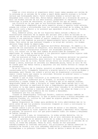 enemigo.
Llegó en cinco minutos al gigantesco árbol cuyas ramas pasaban por encima de
la estacada en un extremo de la aldea y espió desde aquella atalaya a la horda
salvaje que hormigueaba abajo. Contó cincuenta árabes y calculó que los
manyuemas eran cinco veces más. Éstos habían empezado ya a atracarse de carne y,
bajo las mismas narices de sus amos blancos, preparaban el espantoso festín que
constituye la piéce de résistance, el plato fuerte con que se remata
una victoria en la que caen en sus horribles manos cadáveres enemigos.
El hombre-mono comprendió que sería negativo atacar a aquella turba salvaje,
armada con rifles y atrincherada tras los cerrados portones de la aldea, de modo
que volvió junto a Waziri y le aconsejó que aguardara un poco, que él, Tarzán,
tenía un plan mejor.
Pero, momentos antes, uno de los fugitivos había contado a Waziri el
escalofriante asesinato de la esposa del anciano jefe y éste se hallaba en un
estado tal de rabiosa exaltación que lanzó a los cuatro vientos toda prudencia.
Convocó a sus guerreros, ordenó el asalto inmediato y el reducido contingente de
poco más de cien hombres se precipitó demencialmente hacia las puertas de la
aldea. Pero antes de que hubiesen llegado a la mitad del calvero, los árabes
abrieron fuego desde la empalizada.
Waziri cayó en la primera de aquellas mortíferas descargas. El ímpetu y la
carrera de los asaltantes se redujeron. Otra descarga abatió a media docena más.
Sólo unos cuantos consiguieron alcanzar los atrancados portones... para caer
allí, sin contar con la más leve sombra de posibilidad de franquear la
empalizada. El ataque se desintegró y los guerreros supervivientes huyeron cada
uno por su lado a refugiarse en la selva.
Una vez pusieron en fuga a los guerreros, los invasores abrieron las puertas
y salieron en su persecución, para concluir la tarea de la jornada con el
exterminio total de la tribu. Tarzán estuvo entre los últimos que volvieron al
bosque y ahora, mientras se retiraba sin demasiada prisa, hacía un alto de vez
en cuando para dar media vuelta y agujerear con una flecha certera el cuerpo de
un perseguidor.
Ya en el interior de la jungla, encontró un puñado de guerreros que esperaban
concentrados allí, firmemente resueltos a plantar batalla a la horda de árabes y
manyuemas, pero Tarzán les ordenó a gritos que se dispersaran y procurasen
seguir ilesos hasta que cayera la oscuridad. Entonces se podrían reunir y formar
una buena partida combatiente.
-Haced lo que os digo -insistió- y os conduciré a la victoria sobre esos
enemigos vuestros. Diseminaos por el bosque, ir avisando a todos los que
encontréis y cuando llegue la noche, si receláis que os ha seguido alguien,
despistadlo dando un rodeo y dirigíos al lugar donde hemos matado hoy a los
elefantes. Entonces os explicaré mi plan y comprobaréis que puede dar resultado.
No tenéis ni la más remota esperanza de salir bien librados si os enfrentáis con
vuestras escasas fuerzas y vuestras simples armas a las armas de fuego y a la
aplastante superioridad numérica de los árabes y manyuemas.
Accedieron por fin los negros.
-Cuando os desperdiguéis -concluyó Tarzán-, vuestros enemigos también se
desperdigarán para perseguiros, lo que os permitirá matar a muchos manyuemas con
vuestras flechas, si, ocultos en las ramas de algunos grandes árboles, los
tenéis bien localizados.
Apenas dispusieron de tiempo para perderse de vista adentrándose más en la
selva antes de que los primeros incursores llegasen al claro y continuaran la
persecución por la arboleda.
Tarzán cubrió a pie un corto trecho antes de saltar a los árboles. Luego
ascendió rápidamente al nivel superior de la enramada y emprendió veloz regreso
al poblado. Se encontró allí con que prácticamente todos los árabes y manyuemas
se habían lanzado a
la persecución y que, en consecuencia, la aldea estaba desierta, con la
salvedad de los prisioneros encadenados y de un solo centinela de guardia.
Éste se apostaba en el abierto portón de la aldea y dirigía la vista hacia la
jungla, por lo que no pudo ver al ágkl gigante que aterrizó en el extremo de la
calle, al fondo del poblado. Tenso el arco, Tarzán se fue acercando
subrepticiamente al confiado centinela. Los prisioneros ya habían advertido la
presencia de Tarzán y sus ojos rebosaban admiración y esperanza mientras
contemplaban a su presunto libertador. Tarzán se detuvo a menos de diez pasos

 