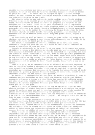 aquella extraña criatura que había aparecido ante él empuñando un amenazador
cuchillo. Se olvidó del arma de fuego que llevaba; incluso se olvidó de lanzar
el grito de alarma... Su única idea fue escapar de aquel aterrador salvaje
blanco, de aquel gigante en cuyos formidables músculos y poderoso pecho rielaban
los ondulantes reflejos de las llamas.
Sin embargo, antes de que pudiese dar media vuelta, tuvo a Tarzán encima.
Entonces sí que se le ocurrió gritar pidiendo auxilio, pero ya era demasiado
tarde. Una mano enorme se cerró en torno a su garganta y el manyuema se vio
arrojado contra el suelo. Luchó furiosa pero inútilmente. Con la implacable
tenacidad de la mandíbula de un perro dogo aquellos dedos terribles continuaron
apretando, aferrados a su cuello. Rápida e inflexiblemente le fueron arrancando
la vida. Los ojos se le salían de las cuencas, la lengua dejaba atrás la boca,
el rostro adoptaba un color lívido, fantasmal, purpúreo... Los músculos se
estremecieron con un temblor convulso y el manyuema quedó tendido, rígido e
inmóvil.
El hombre-mono se echó el cadáver al hombro y, tras recoger las armas de su
víctima, emprendió la marcha a paso ligero, silenciosamente, por la calle de la
dormida aldea hacia el árbol que de una manera
tan cómoda le facilitaba el acceso al interior de la empalizada aldea.
Trasladó el cuerpo sin vida del centinela hasta el centro de un laberinto de
fronda situado hacia la copa del árbol.
Después de aposentarlo en la horquilla de una rama, Tarzán empezó por quitar
al cadáver la canana y los adornos que deseaba para sí. Los les dedos del hombre
mono tantearon hábilmente el cuerpo, ya que la oscuridad no le permitía ver bien
las piezas del botín. Concluido el registro, tomó el arma que había pertenecido
al manyuema y se deslizó hasta la punta de una rama, desde donde podía disponer
de una vista mejor de las chozas. Tras apuntar con todo cuidado a la estructura
de colmena en la que sabía se alojaban los jefes árabes, apretó el gatillo. Casi
al instante se oyó un gemido de dolor. Tarzán sonrió. Había vuelto a dar en el
blanco.
Tras el disparo, en el campamento reinó el silencio durante unos segundos, al
cabo de los cuales árabes y manyuemas salieron atropelladamente de las chozas
como enjambres de avispas irritadas. Claro que, en realidad, se sentían más
asustadas que coléricas. Las tensiones de la jornada les habían llevado al borde
del abismo del pánico y aquella detonación única, en plena noche, desató en sus
aterrados cerebros los más horripilantes pavores.
Al descubrir la desaparición del centinela, su espanto se desbordó y, como si
creyesen que para estimular su valor había que intentar algo de tipo bélico,
empezaron a disparar a tontas y a locas hacia las puertas del poblado, aunque
por allí no aparecía visible enemigo alguno. Tarzán aprovechó el ensordecedor
estrépito de aquellas repetidas descargas para hacer fuego a su vez sobre la
turba que tenía a sus pies.
Nadie distinguió su disparo de entre los que se hacían en la calle, pero
algunos manyuemas sí vieron desplomarse repentinamente a un camarada que tenían
cerca. Al agacharse para ver qué le ocurría, comprobaron que estaba muerto. El
pánico cobró dimensiones impresionantes y fue preciso todo el brutal
autoritarismo de los árabes para impedir que los manyuemas salieran de estampida
y se precipitaran desordenadamente en la jungla... en cualquier sitio con tal de
huir de aquella aldea infernal.
Pasado cierto tiempo empezaron a calmarse y, como no se produjeron más
muertes misteriosas, fueron recobrando el ánimo poco a poco. Pero no fue más que
una breve tregua, porque cuando ya empezaban a creer que no volverían a
mortificarles más, Tarzán emitió un alarido sobrenatural y cuando los invasores
del poblado dirigían la mirada hacia el punto de donde procedía el gemebundo
grito, el hombre-mono, que columpiaba suavemente el cadáver del centinela
muerto, dejó caer de súbito el cuerpo sobre las cabezas de los manyuemas.
Entre alaridos de alarma la patulea se disgregó en todas direcciones
impulsados todos por una sola idea: escapar como fuese de aquella terrible
criatura que parecía haber saltado sobre ellos. En la desquiciada imaginación de
cada uno de los manyuemas, el cuerpo del centinela, que yacía en el suelo con
los brazos y las piernas extendidas en toda su longitud, asumía el aspecto de un
enorme animal de presa. Dominados por el ansia fugitiva, muchos de los negros se
lanzaron a escalar la empalizada, mientras otros quitaban los barrotes de las
puertas y corrían como locos a través del claro hacia la jungla.

 